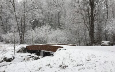 April 2020 Newsletter