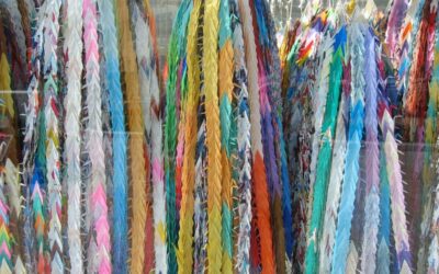 August 2020 Newsletter