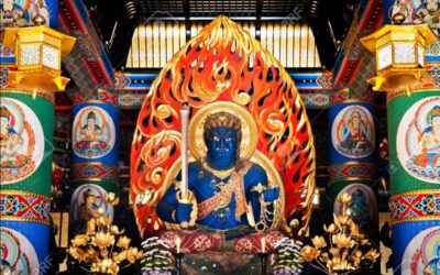 June 2020 Newsletter